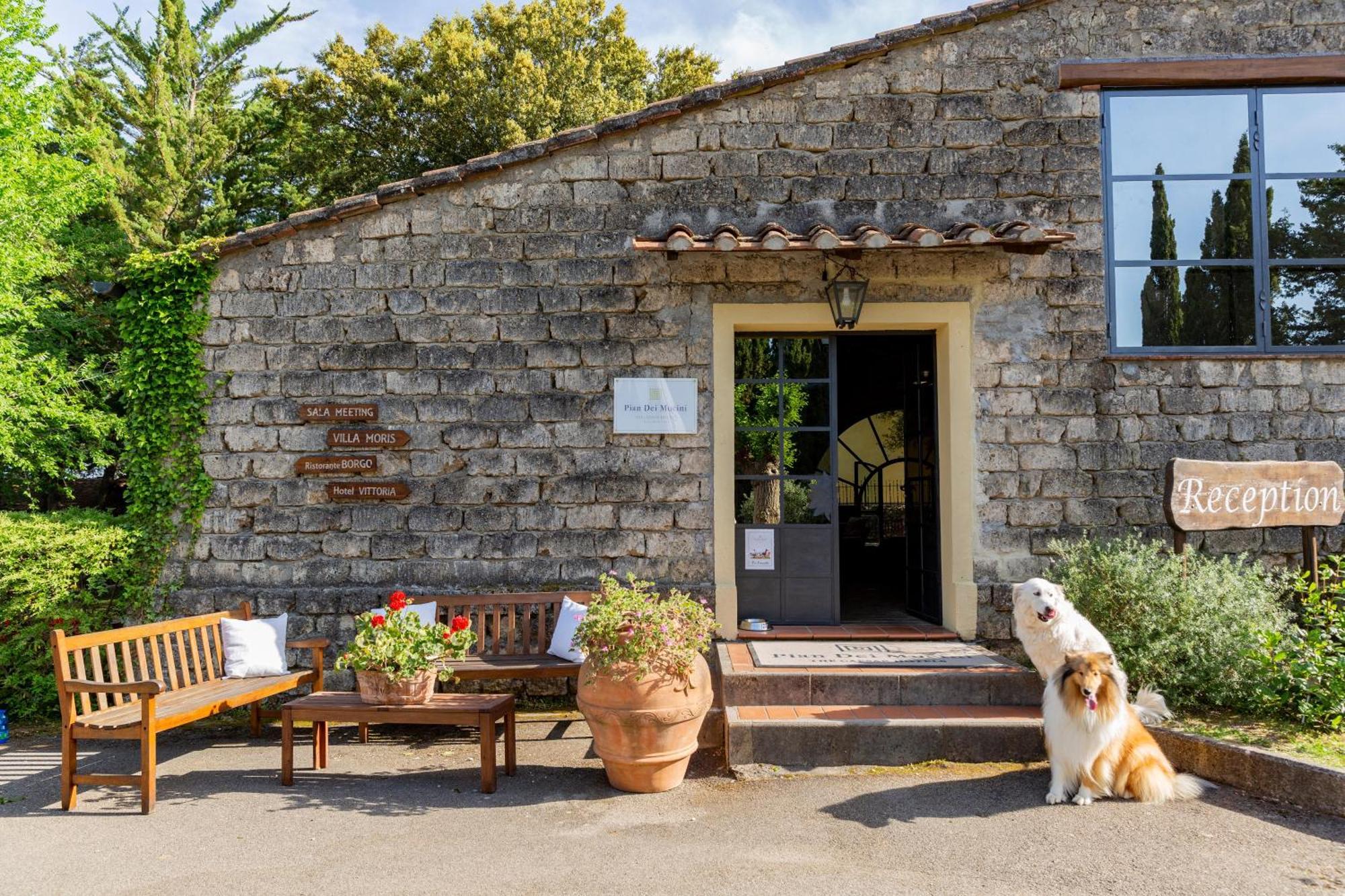 Pian Dei Mucini Resort Massa Marittima Dış mekan fotoğraf